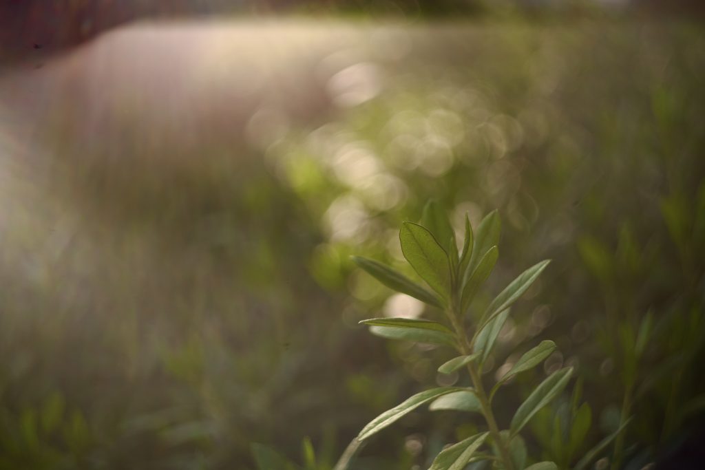 Helios442の魅力