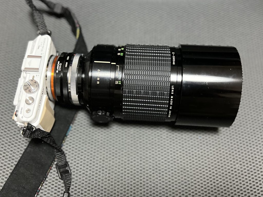 超望遠はロマンの塊！？SIGMA 600mm f8 MIRROR（シグマ）｜レビュー 