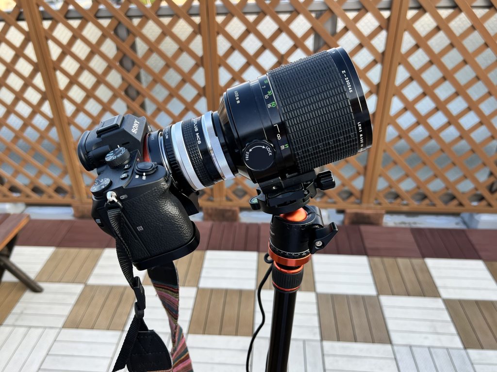 SIGMA 600mm/f8 PENTAXマウント アダプター使用でいろいろ使用