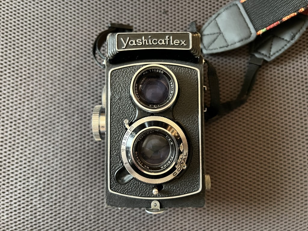 2眼レフカメラ始めました。Yashicaflex （ヤシカフレックス）A II型 ※多分 ｜レビュー ＆ 作例 - くららのレンズ沼